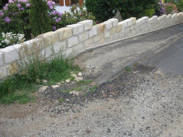 IMG_2022 (Large)